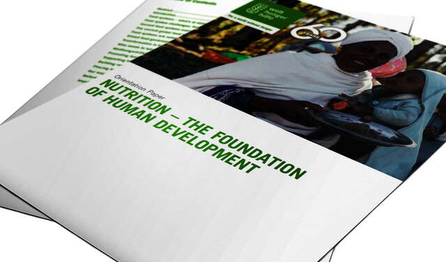 2022-teaser-orientation-paper-nutrition-the-foundation-of-human-development.jpg