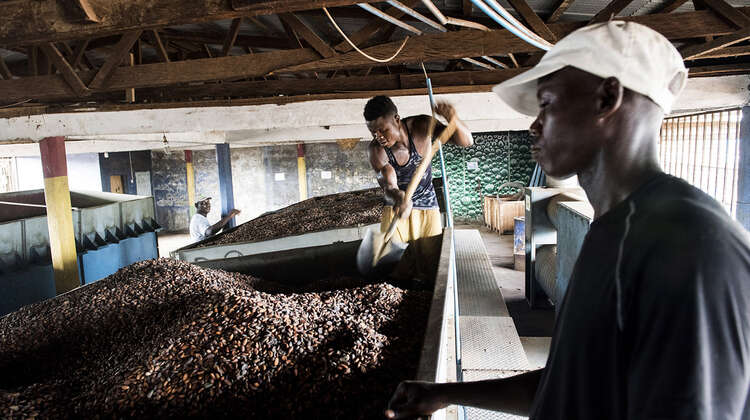 2020-sierra-leone-kakao-verarbeitung-c-welthungerhilfe.jpg