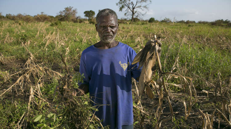 2019-4-wochen-nach-zyklon-idai-mozambique-ernesto-ruined-crop-mcconville-concern.jpg Ein Mann steht in einem zerstörten Maisfeld und zeigt eine seiner toten Pflanzen.