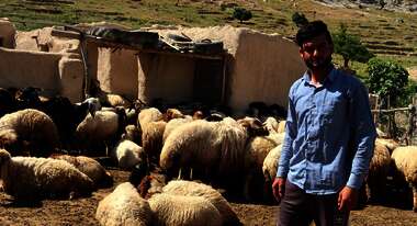 A young shepherd in Sinjar, Iraq