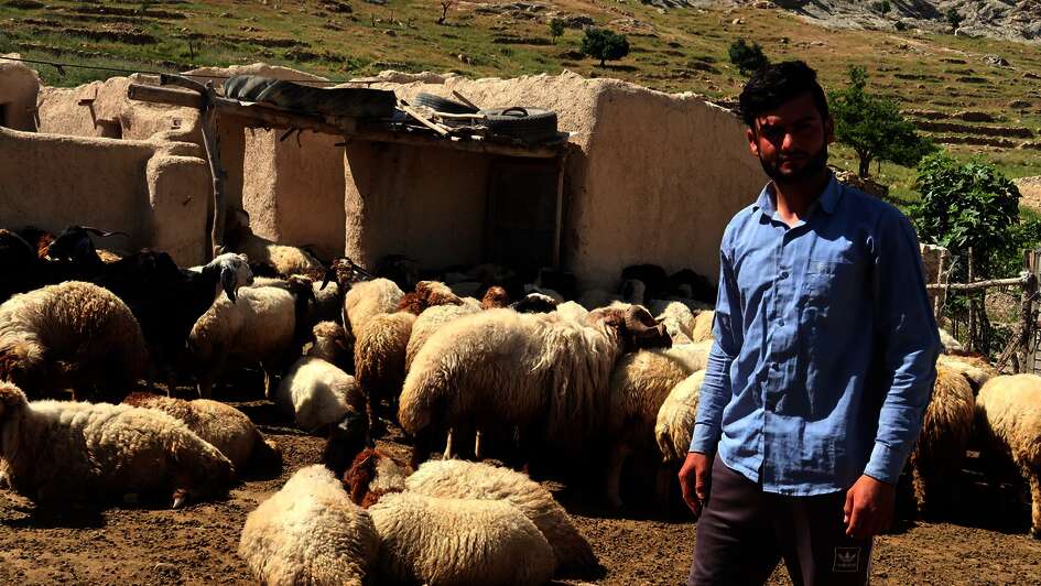 A young shepherd in Sinjar, Iraq
