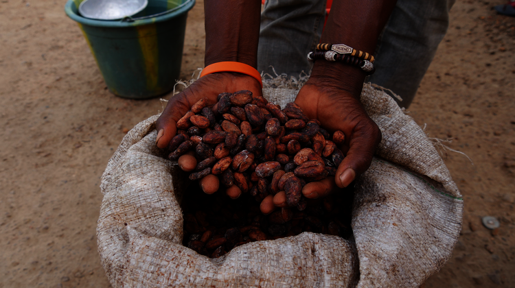 2020-sierra-leone-kakao-haende-c-welthungerhilfe.png