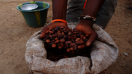 2020-sierra-leone-kakao-haende-c-welthungerhilfe.png