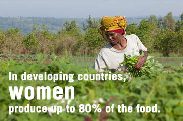 women_and_development_small.jpg