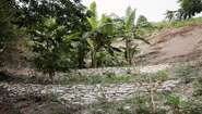 Working together with Welthungerhilfe, Haitians are building stone walls to protect the soil on the slopes. So food can grow here again. Working together with Welthungerhilfe, Haitians are building stone walls to protect the soil on the slopes. So food can grow here again.