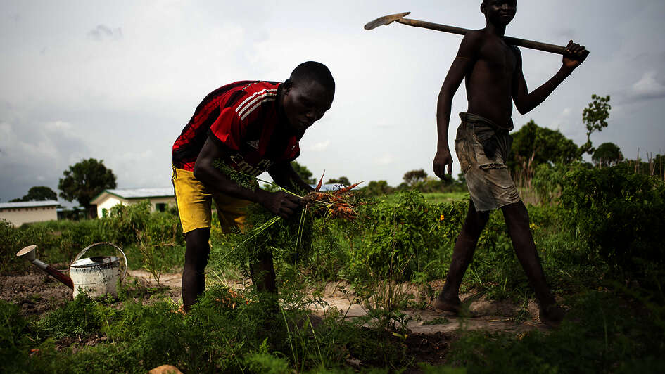 Zentralafrikanische Republik Central African Republic, Ngoulekpa und Boussamoa