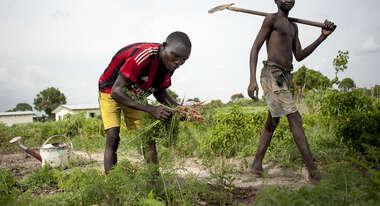 Zentralafrikanische Republik Central African Republic, Ngoulekpa und Boussamoa