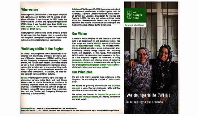 2019-teaser-factsheet-syria-turkey-lebanon.jpg