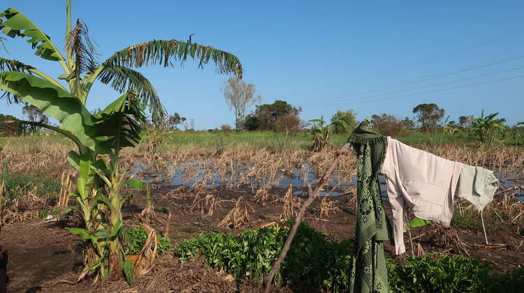 2019-4-wochen-nach-zyklon-idai-mozambique-geflutetes-feld-lamego-bandsom-welthungerhilfe.JPG Ein geflutetes Feld