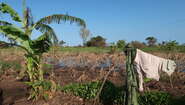 2019-4-wochen-nach-zyklon-idai-mozambique-geflutetes-feld-lamego-bandsom-welthungerhilfe.JPG Ein geflutetes Feld