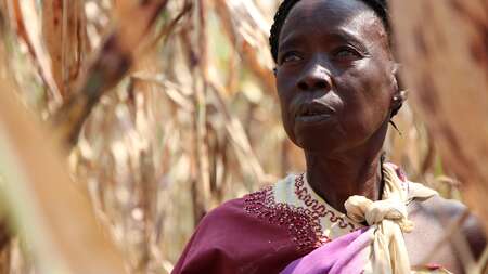 Food and nutrition security during the civil war in South Sudan