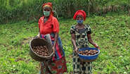 2021-congo-zwei-frauen-kartoffel-ernte.jpg Zwei Frauen stehen mit ihrer Ernte auf dem Kartoffelfeld, Kongo 2021.