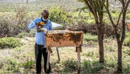 2022-man-bienen-somaliland-c-welthungerhilfe.jpg