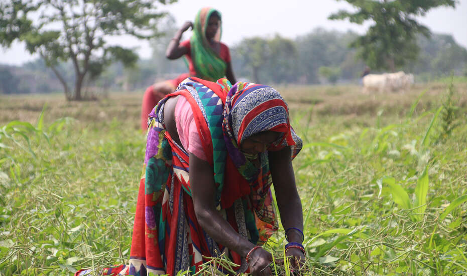 Women working on a field 