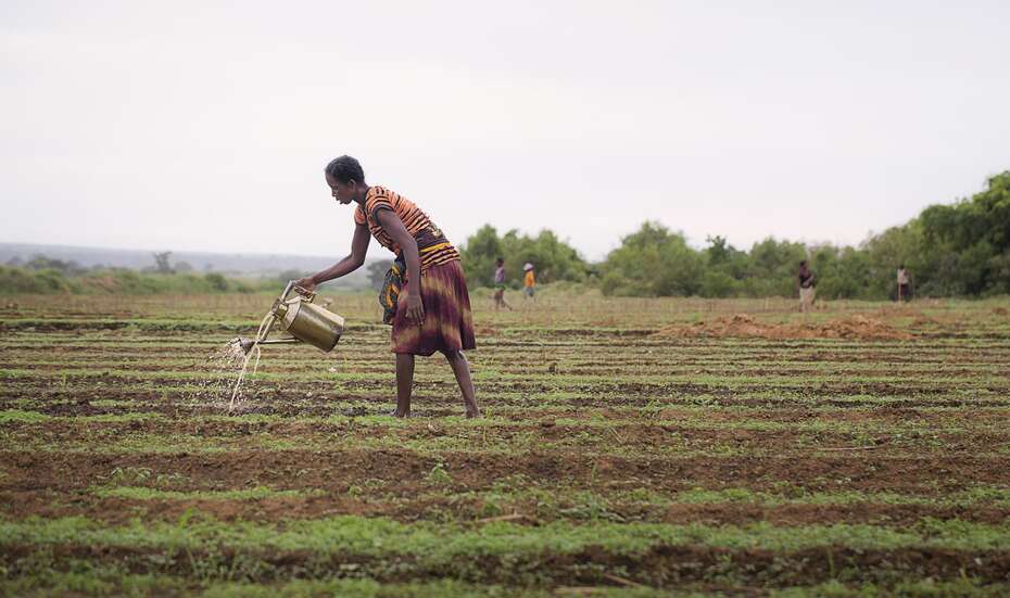 Gegen den Hunger in Madagaskar