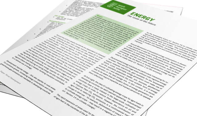 Title page of the Position Paper Rural Development: Energy
