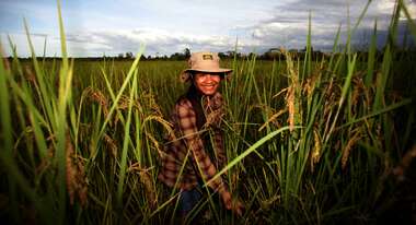 farmer in the field