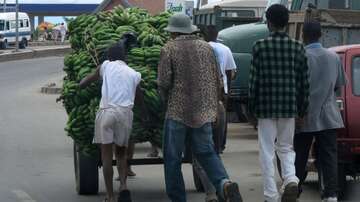 A cart full of bananas: Only the main roads are fully built. A cart full of bananas: Only the main roads are fully built.
