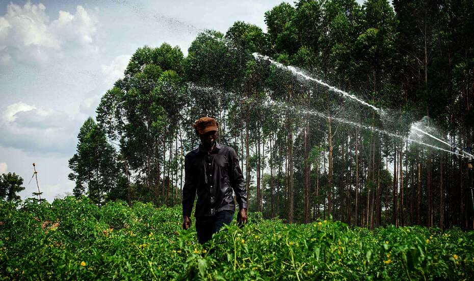 A farmer works in his field in Uganda.