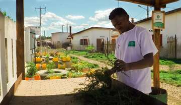 Thanks to the biodigester SCAMA market runs on biogas. Eddy is happy. Now he can save money he would otherwise have spent on coal. Eddy