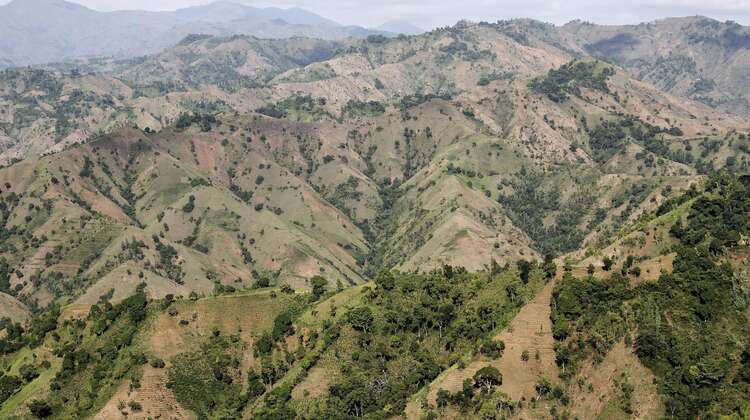 97% of Haiti's forests have now been cleared, leaving behind barren lunar landscapes and unsecured soil. 97% of Haiti's forests have now been cleared, leaving behind barren lunar landscapes and unsecured soil.