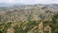97% of Haiti's forests have now been cleared, leaving behind barren lunar landscapes and unsecured soil. 97% of Haiti's forests have now been cleared, leaving behind barren lunar landscapes and unsecured soil.