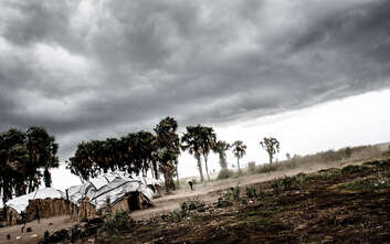 Dunkle Wolken am Himmel, neben aus Holz und Planen gebaute Häuser stehen Palmen, die sich im Wind beugen.