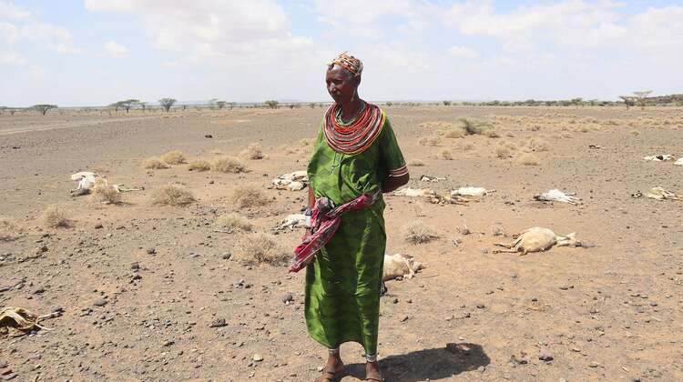 2022-frau-totes-vieh-duerre-marsabit-kenia-c-asenath-niva.jpg Dürre in Kenia: Eine Frau steht auf einem Feld, im Hintergrund sieht man totes Vieh.