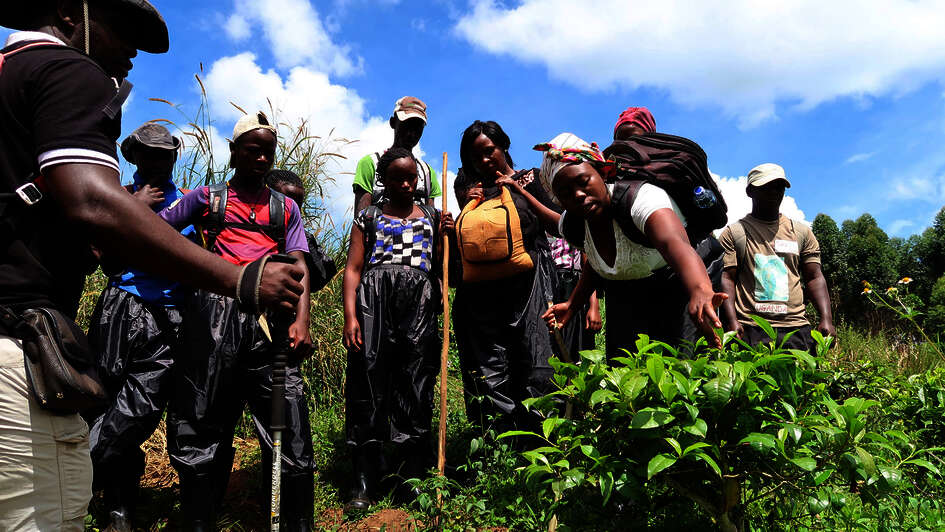 A group of young people stand around a plant, a young woman examines it.