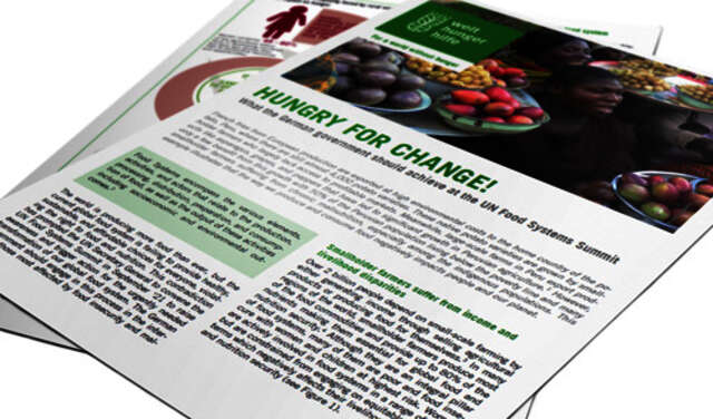 2021-food-systems-policy-brief-eng-teaser.jpg