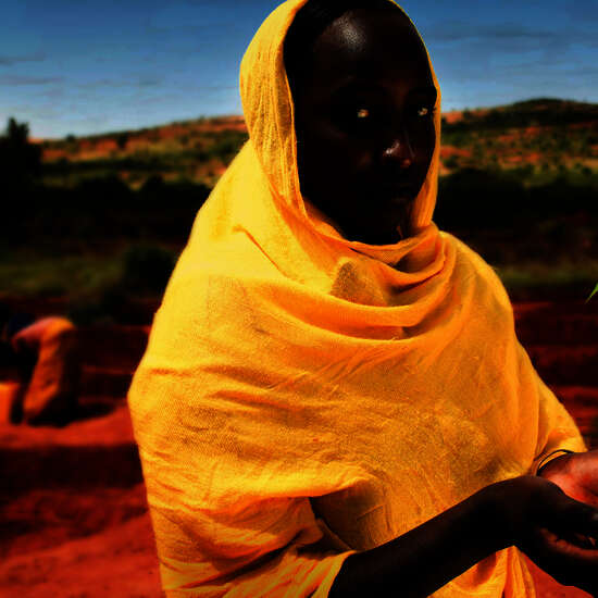 Woman holding tree sapling in her palms
