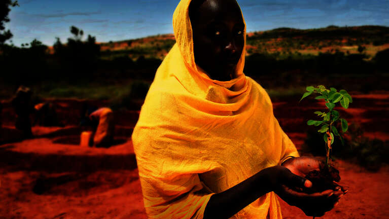 Woman holding tree sapling in her palms