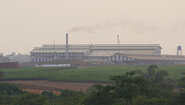 Palm oil is produced for the food industry, sugarcane becomes biofuel. Hunger and poverty stay. Palm oil is produced for the food industry, sugarcane becomes biofuel. Hunger and poverty stay.