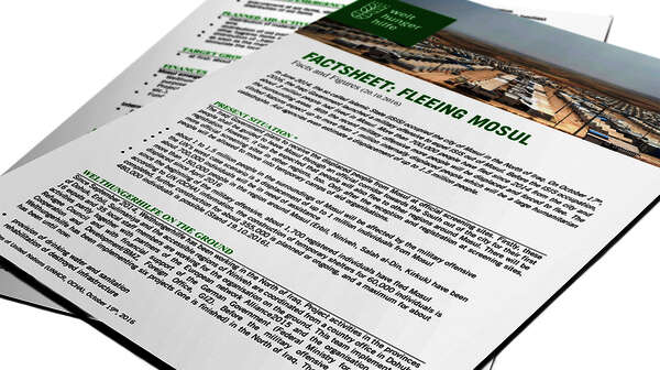 Factsheet Cover: Fleeing Mosul