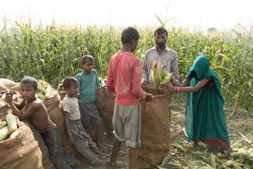 Tagelöhner_Kinder_Indien.jpg Kinder Tagelöhner, Indien.