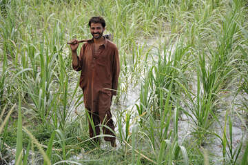 A man on a field