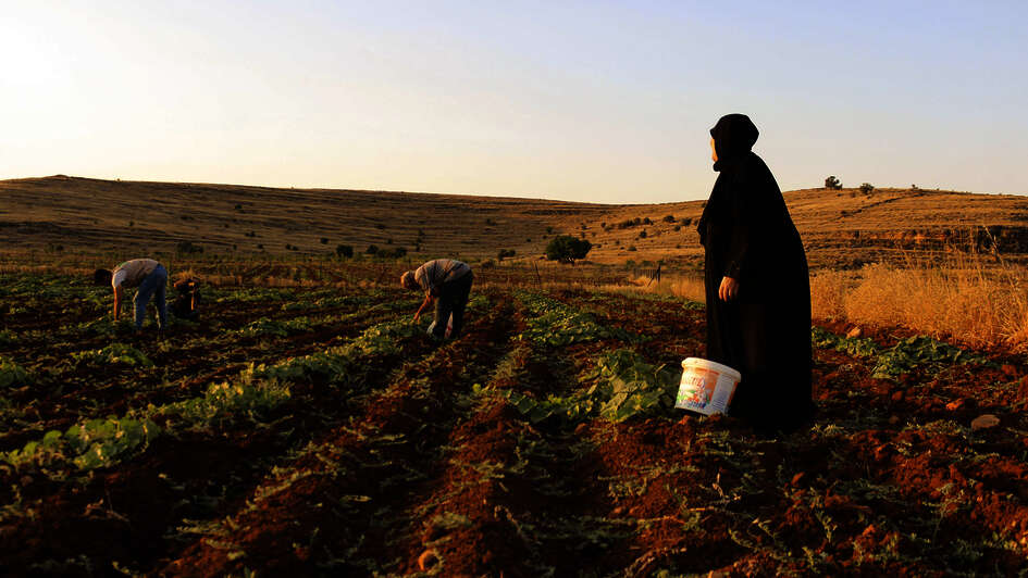 Syrische Flüchtlinge auf einem Gurkenfeld in Mardin, Türkei. 