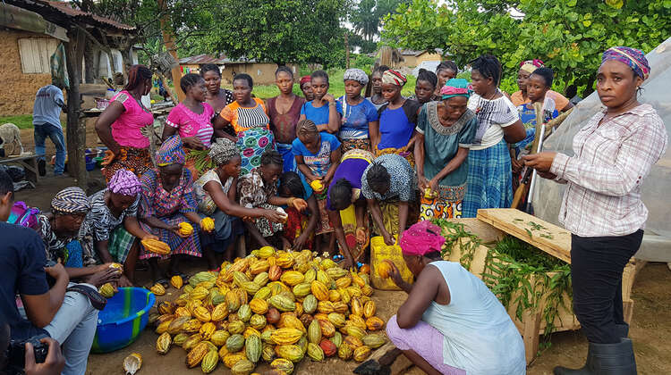 2020-sierra-leone-cocoa-women-cooperative-c-welthungerhilfe.jpg