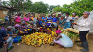 2020-sierra-leone-cocoa-women-cooperative-c-welthungerhilfe.jpg