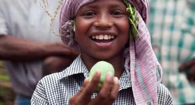 The Greener Revolution - how small farmers in India benefit from Integrated Farming