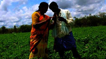 Eine indische Jugendliche erklärt einem Bauern auf einem Feld, wie er die App Sativus nutzen kann.