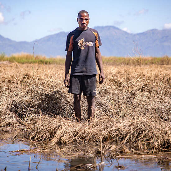 Anticipatory Action tries to take action based on forecasts and predictions, intervening before crises and disasters cause hunger.