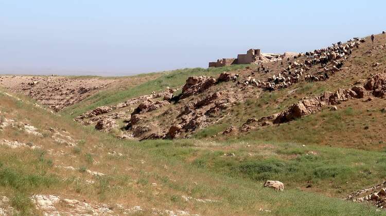 Shepherd village in Sinjar, Nineveh Governorate, Iraq Shepherd village in Sinjar, Nineveh Governorate, Iraq
