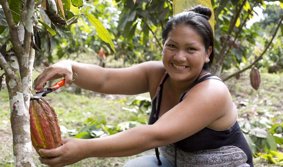 Sustainable Development Goals' Current Status: Gender equality is one of the United Nations' 17 Sustainable Development Goals.